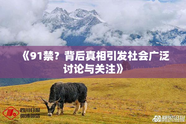 《91禁？背后真相引发社会广泛讨论与关注》