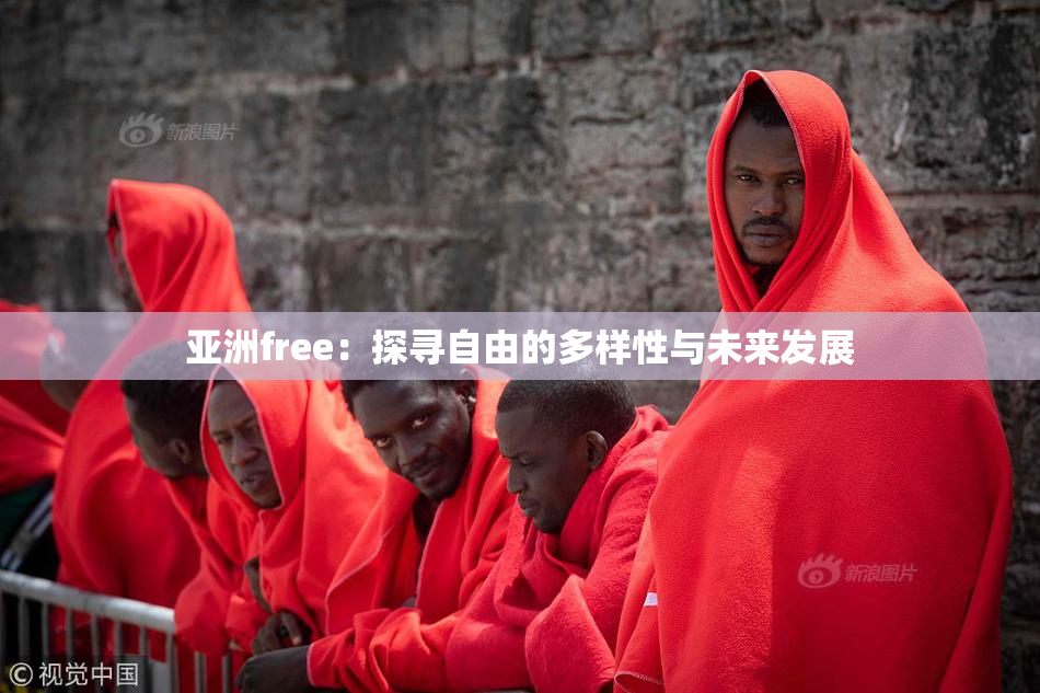亚洲free：探寻自由的多样性与未来发展