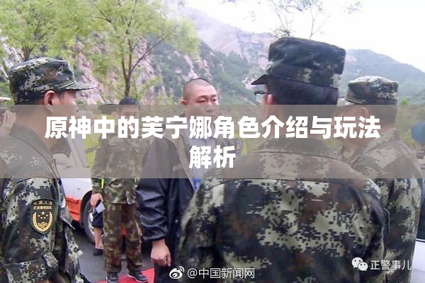 原神中的芙宁娜角色介绍与玩法解析