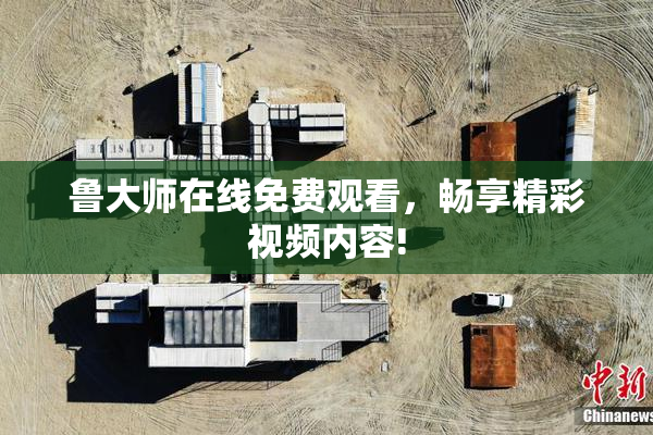 鲁大师在线免费观看，畅享精彩视频内容!