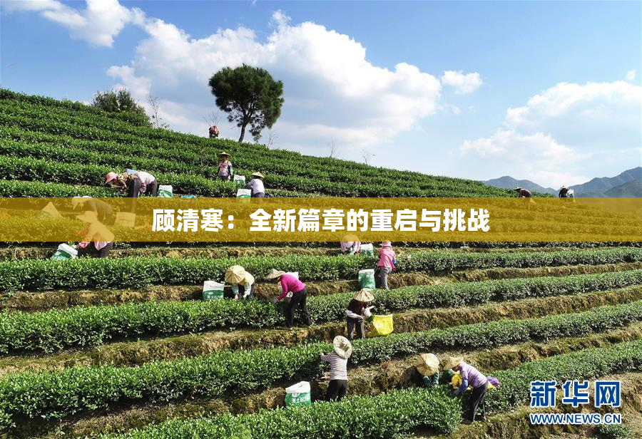 顾清寒：全新篇章的重启与挑战