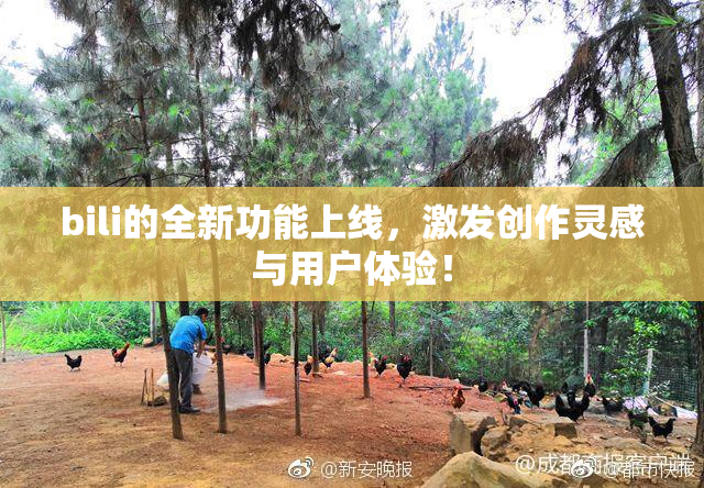 bili的全新功能上线，激发创作灵感与用户体验！