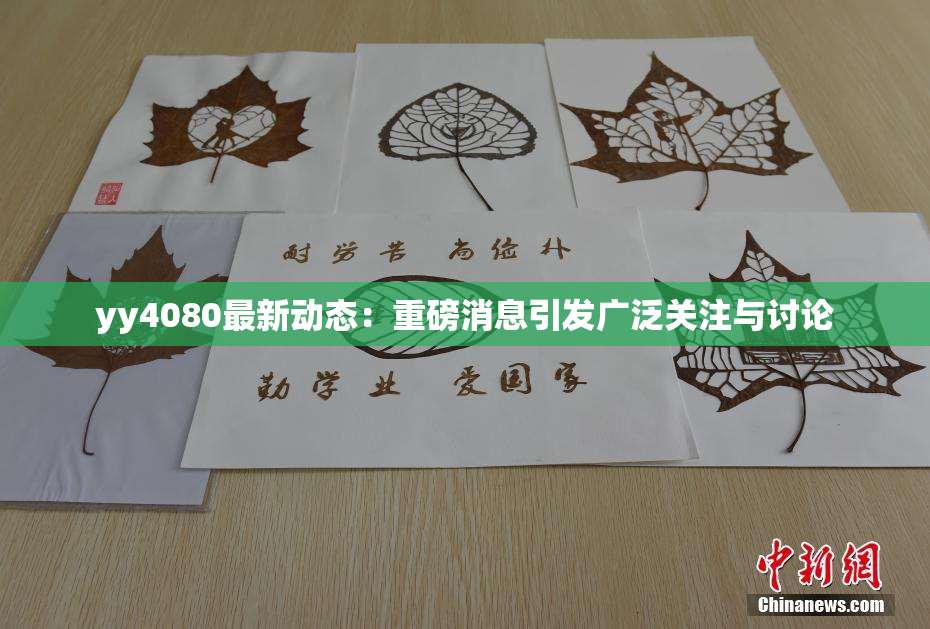yy4080最新动态：重磅消息引发广泛关注与讨论