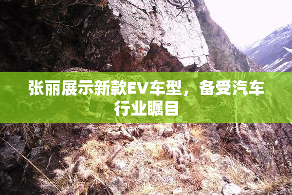 张丽展示新款EV车型，备受汽车行业瞩目