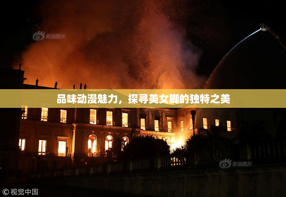品味动漫魅力，探寻美女脚的独特之美