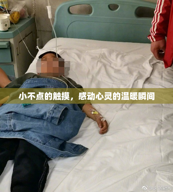 小不点的触摸，感动心灵的温暖瞬间