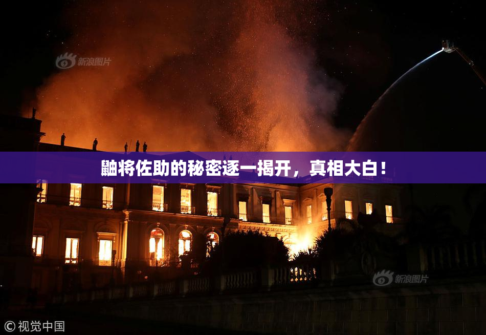 鼬将佐助的秘密逐一揭开，真相大白！