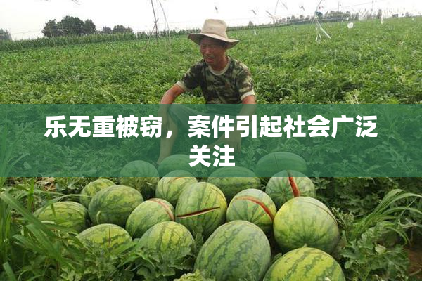 乐无重被窃，案件引起社会广泛关注