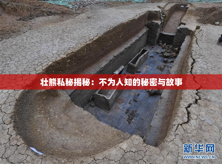 壮熊私秘揭秘：不为人知的秘密与故事