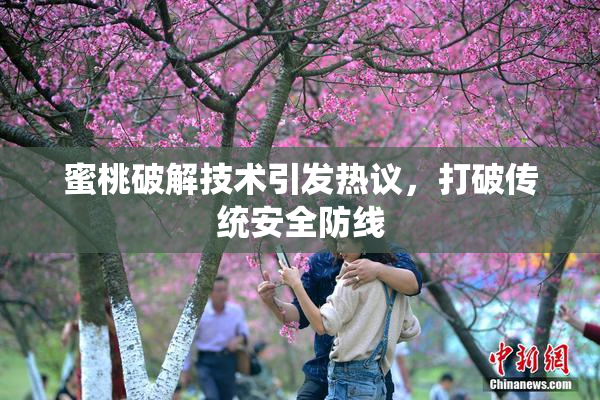 蜜桃破解技术引发热议，打破传统安全防线