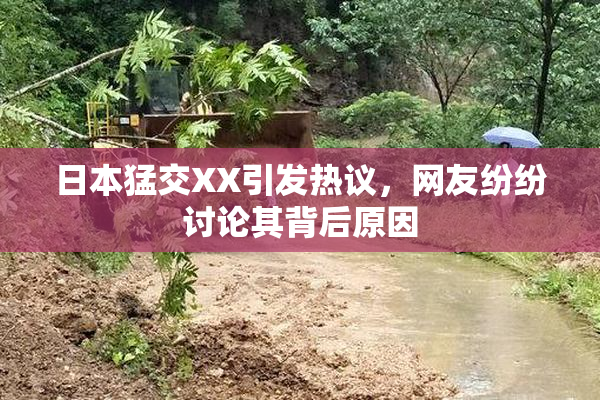 日本猛交XX引发热议，网友纷纷讨论其背后原因