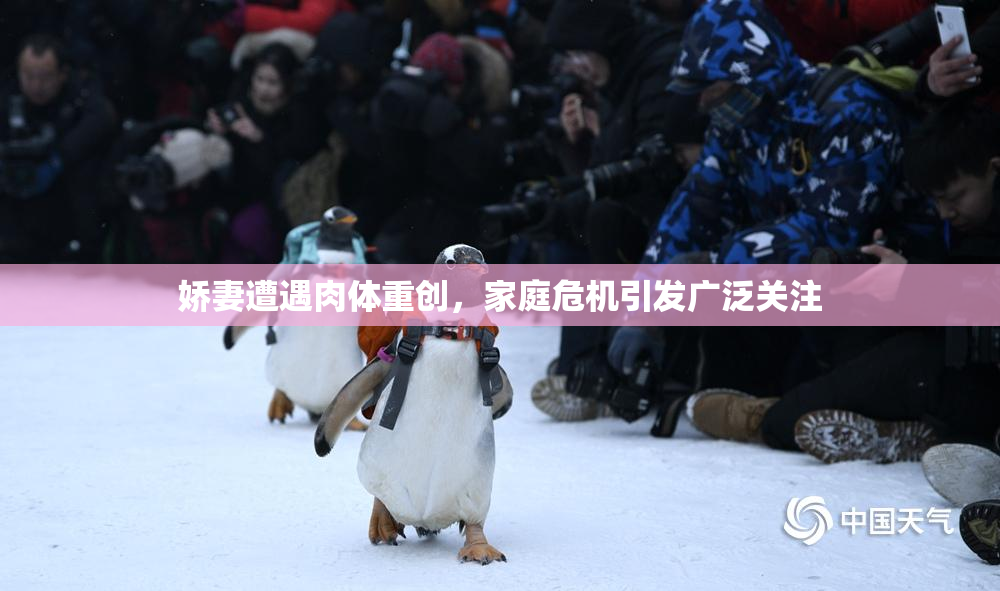 娇妻遭遇肉体重创，家庭危机引发广泛关注