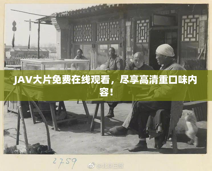 JAV大片免费在线观看，尽享高清重口味内容！