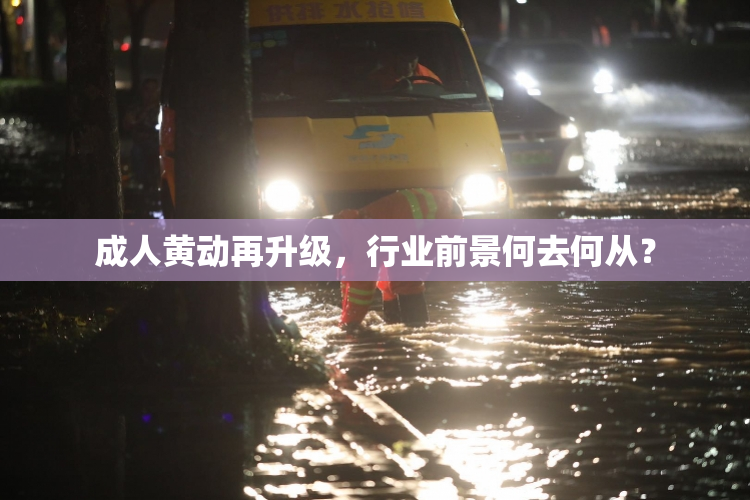 成人黄动再升级，行业前景何去何从？