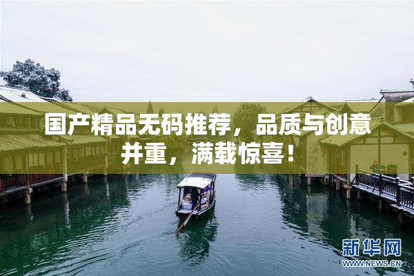 国产精品无码推荐，品质与创意并重，满载惊喜！