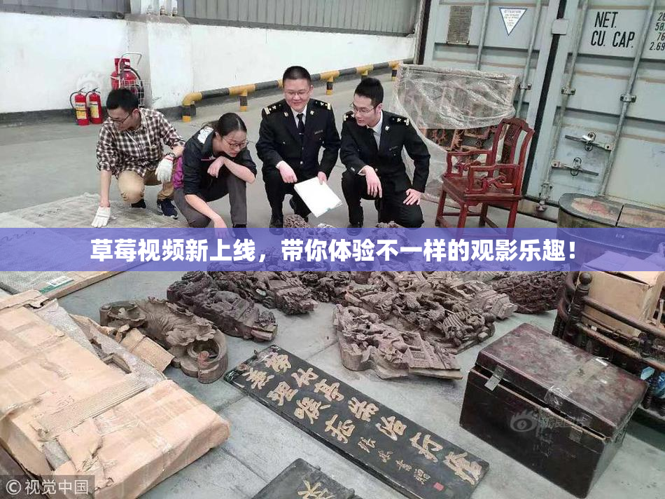 草莓视频新上线，带你体验不一样的观影乐趣！