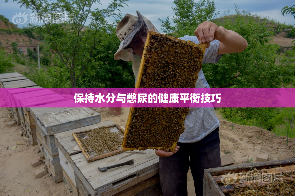 保持水分与憋尿的健康平衡技巧