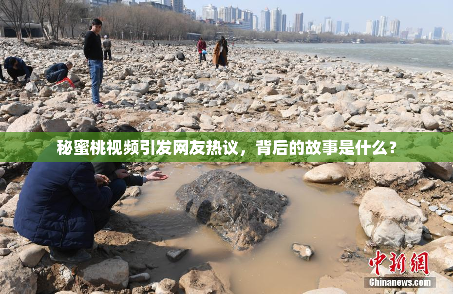 秘蜜桃视频引发网友热议，背后的故事是什么？