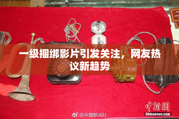 一级捆绑影片引发关注，网友热议新趋势