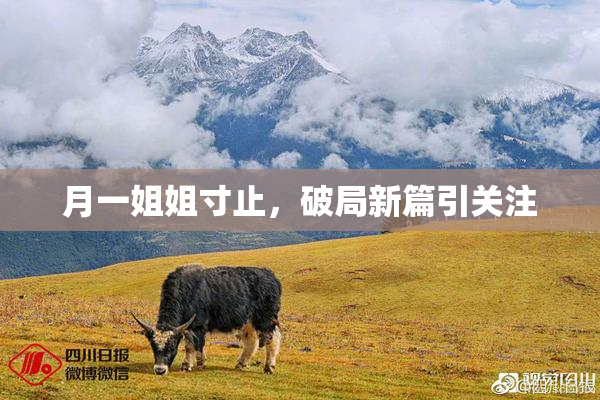 月一姐姐寸止，破局新篇引关注