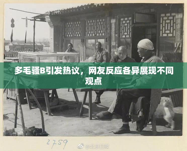 多毛骚B引发热议，网友反应各异展现不同观点