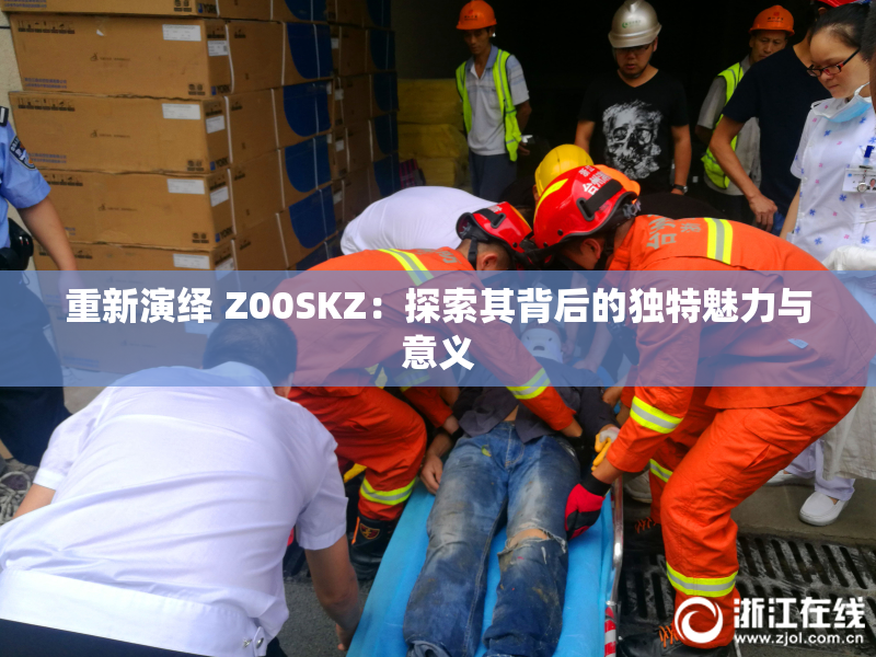 重新演绎 Z00SKZ：探索其背后的独特魅力与意义