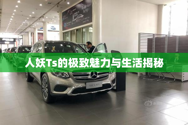 人妖Ts的极致魅力与生活揭秘