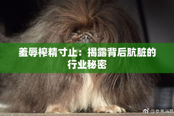羞辱榨精寸止：揭露背后肮脏的行业秘密