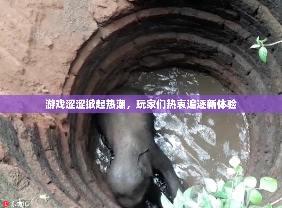 游戏涩涩掀起热潮，玩家们热衷追逐新体验