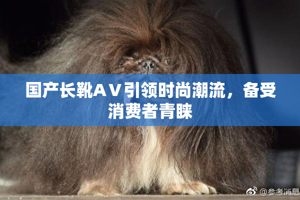 国产长靴AⅤ引领时尚潮流，备受消费者青睐