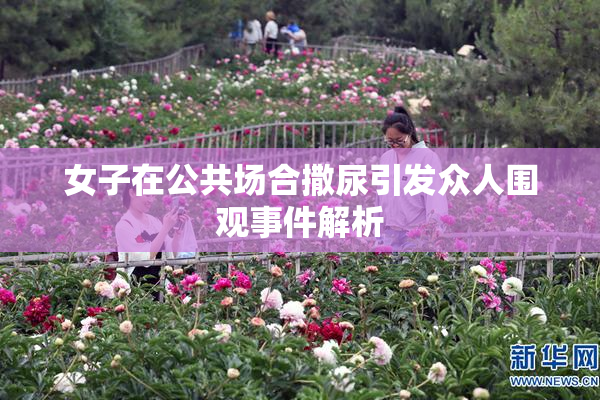 女子在公共场合撒尿引发众人围观事件解析