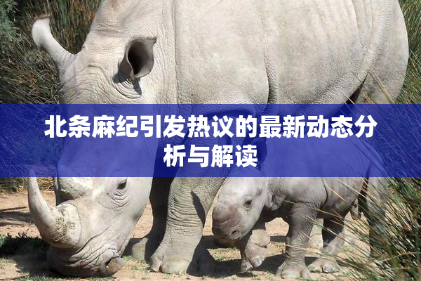 北条麻纪引发热议的最新动态分析与解读