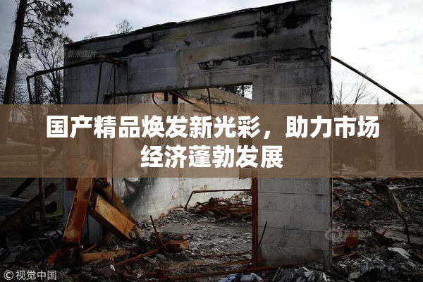 国产精品焕发新光彩，助力市场经济蓬勃发展