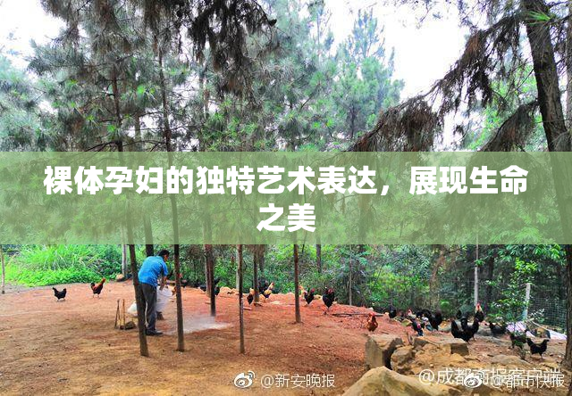 裸体孕妇的独特艺术表达，展现生命之美