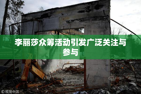 李丽莎众筹活动引发广泛关注与参与