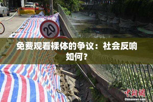 免费观看裸体的争议：社会反响如何？
