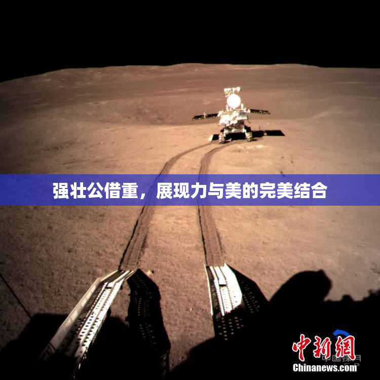 强壮公借重，展现力与美的完美结合