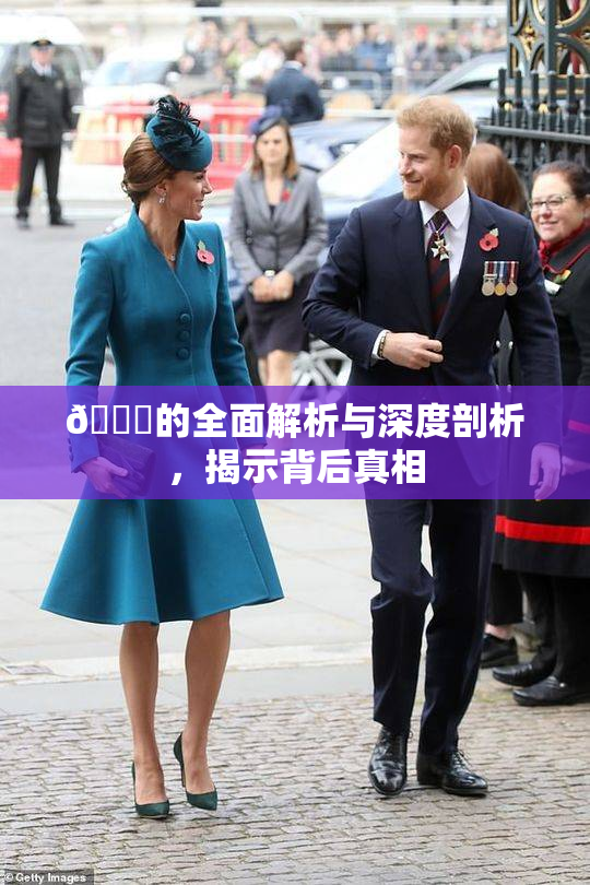 🈚的全面解析与深度剖析，揭示背后真相