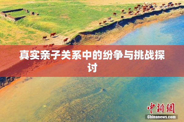 真实亲子关系中的纷争与挑战探讨