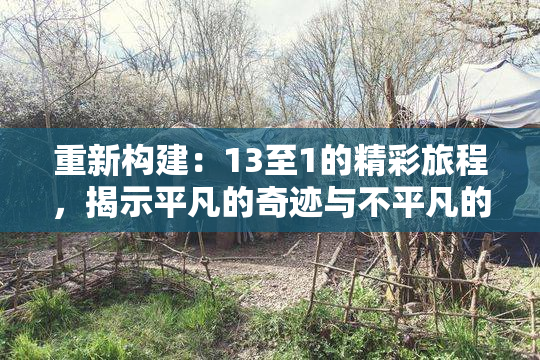 重新构建：13至1的精彩旅程，揭示平凡的奇迹与不平凡的故事。