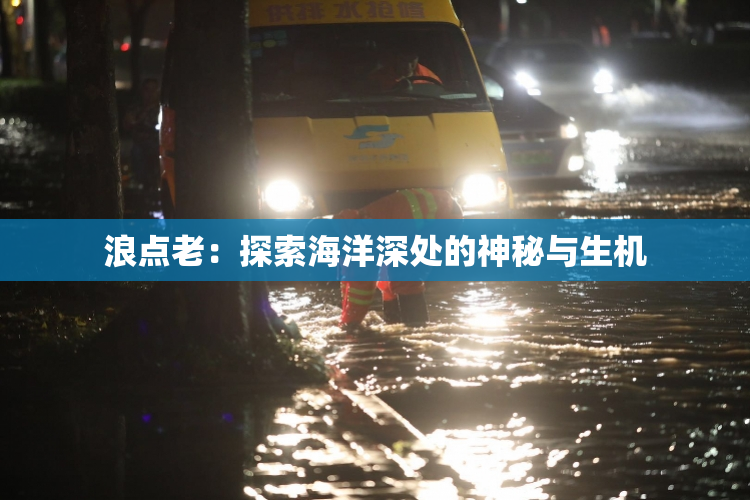 浪点老：探索海洋深处的神秘与生机