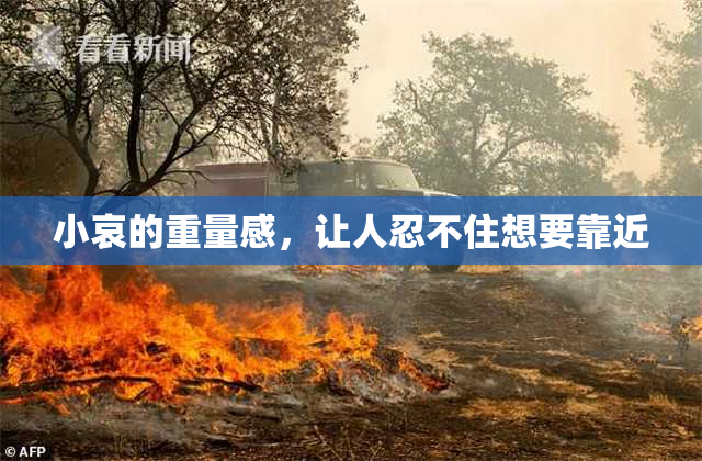 小哀的重量感，让人忍不住想要靠近