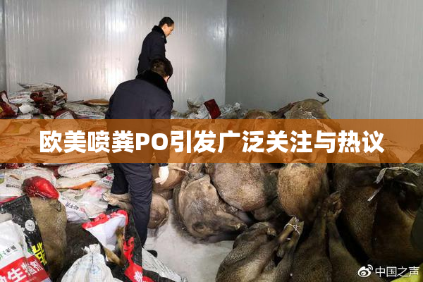 欧美喷粪PO引发广泛关注与热议