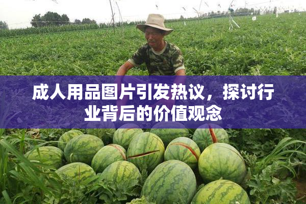 成人用品图片引发热议，探讨行业背后的价值观念
