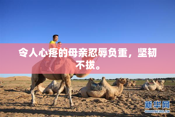 令人心疼的母亲忍辱负重，坚韧不拔。