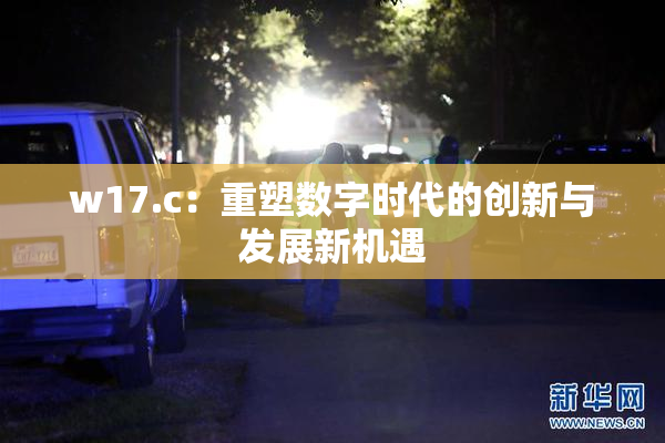 w17.c：重塑数字时代的创新与发展新机遇