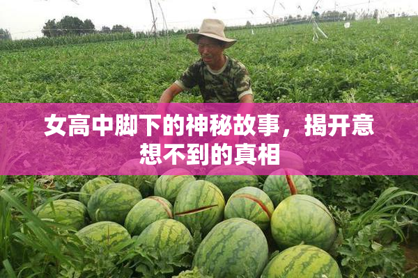 女高中脚下的神秘故事，揭开意想不到的真相