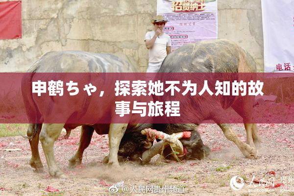 申鹤ちゃ，探索她不为人知的故事与旅程