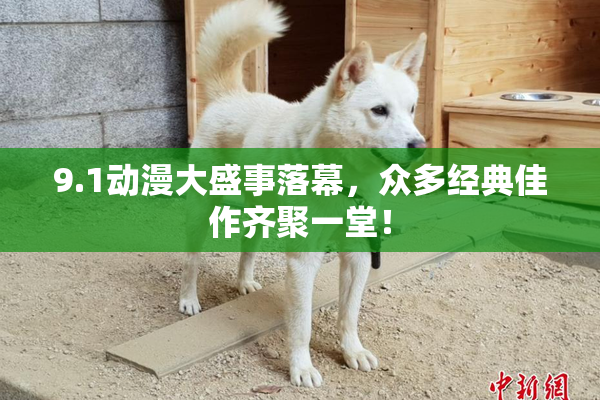 9.1动漫大盛事落幕，众多经典佳作齐聚一堂！
