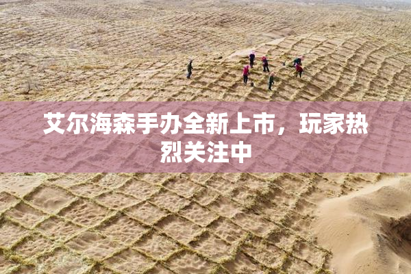 艾尔海森手办全新上市，玩家热烈关注中